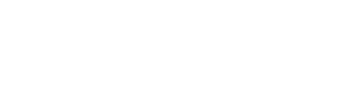 watermark
